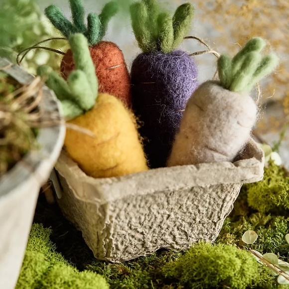 Anthropologie Other - NWT Anthropologie Terrain Felted Easter Carrots